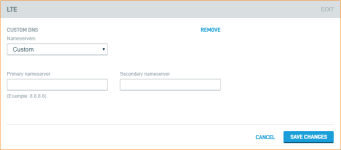 customDNS.png